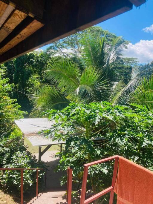 Appartement Ohana Location Ravissant Appart Spacieux Parking Gratuit A Uturoa Extérieur photo